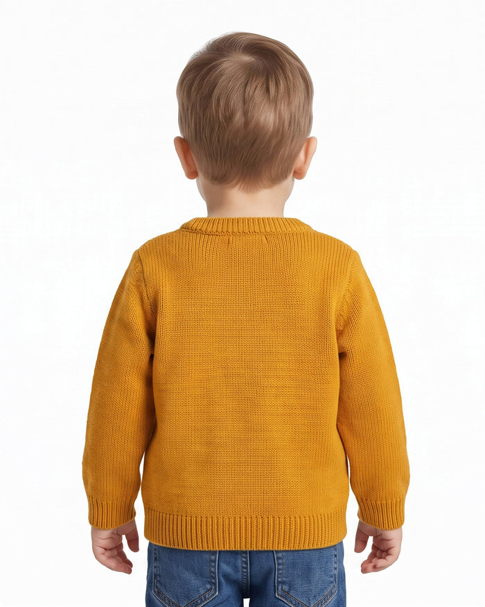 Boys Sweater