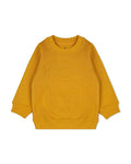 Boys Sweatshirt