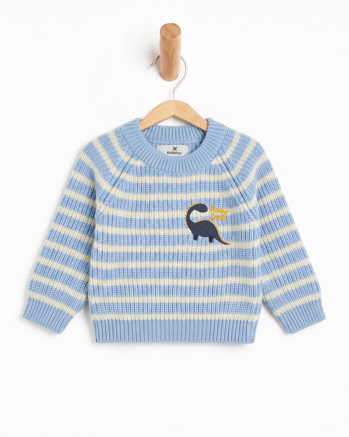 Newborn Boys Sweater