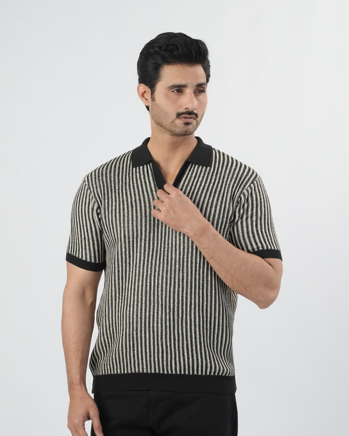 Regular Solid Sweater Knit Polo T-Shirt