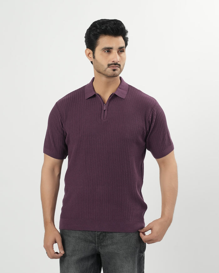 Regular Solid Sweater Knit Polo T-Shirt