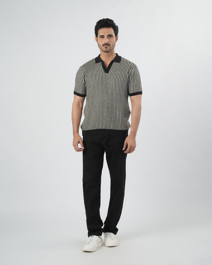 Regular Solid Sweater Knit Polo T-Shirt