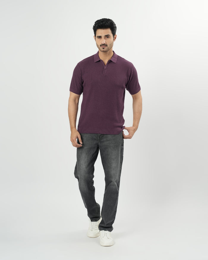 Regular Solid Sweater Knit Polo T-Shirt