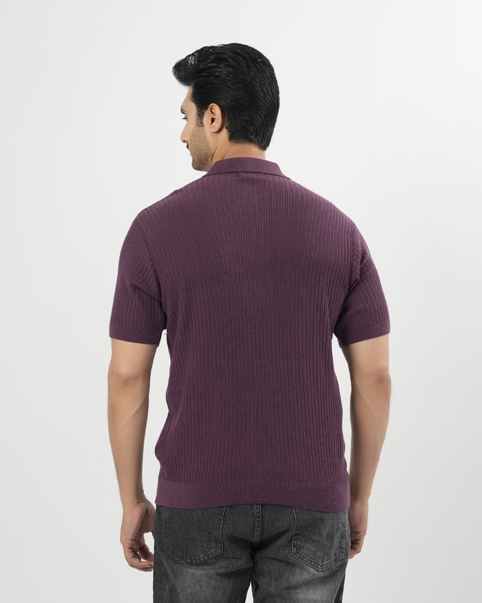 Regular Solid Sweater Knit Polo T-Shirt